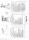 Fig. 15 - Cognitive browse operation