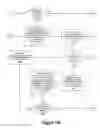Fig. 19 - Cognitive browse operation