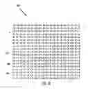 Fig. 10 - Method and implementation to detect coordinated motions of multiple entities