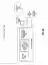 Fig. 37 - Compression mechanism