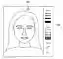 Fig. 01 - Blush guide device and method thereof