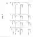 Fig. 02 - Apparatuses and methods of distributing addresses in memory devices for mitigating write disturbance