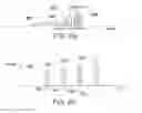 Fig. 05 - Programming of memory devices responsive to a stored representation of a programming voltage indicative of a programming efficiency