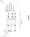 Fig. 07 - Adjustment circuit for partitioned memory block