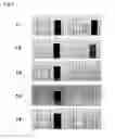 Fig. 04 - Method for recycling perovskite-based photoelectric conversion element
