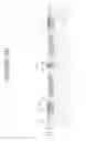 Fig. 07 - Contact in RF-switch