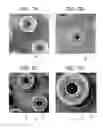 Fig. 09 - Ion beam apparatus