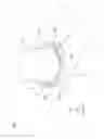 Fig. 02 - Content moving device