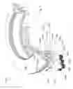 Fig. 18 - CONFIGURABLE HIGH TEMPERATURE CHUCK FOR USE IN A SEMICONDUCTOR WAFER PROCESSING SYSTEM