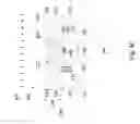 Fig. 05 - Strained gate semiconductor device having an interlayer dielectric doped with oxygen and a large species material