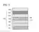 Fig. 04 - Light-Emitting Element, Light-Emitting Device, Electronic Device, and Lighting Device