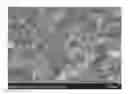 Fig. 01 - Negative electrode for power storage device, power storage, device and electrical device