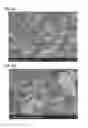 Fig. 09 - Negative electrode for power storage device, power storage, device and electrical device