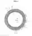 Fig. 05 - Stator for rotary electric machine