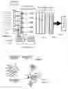 Fig. 01 - Distributed array for direction and frequency finding