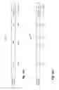 Fig. 18 - Downlink signaling in a high efficiency wireless local area network (WLAN)