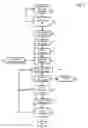 Fig. 06 - Multi-phase IP-flow-based classifier with domain name and HTTP header awareness