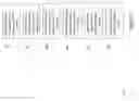 Fig. 03 - REDUCING RATE LIMITS OF RATE LIMITERS