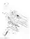 Fig. 03 - Endoscope