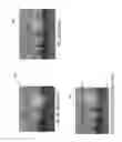 Fig. 10 - System and method for photographic effects