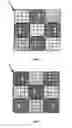 Fig. 06 - Quanta image sensor with polarization-sensitive jots