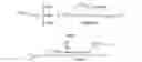 Fig. 03 - Processing a depth map for an image