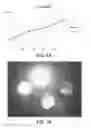 Fig. 16 - HIGH DYNAMIC RANGE VIDEO CODING