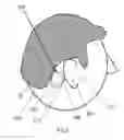 Fig. 03 - Bone conduction hearing aid system