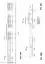 Fig. 19 - Orthogonal frequency division multiple access for wireless local area network