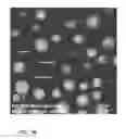 Fig. 03 - Antimicrobial phase-separable glass/polymer composite articles and methods for making the same