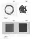 Fig. 04 - Antimicrobial phase-separable glass/polymer composite articles and methods for making the same