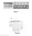 Fig. 02 - METHOD AND PROCESS OF ENRICHMENT OF AN AGAVE FRUCTAN IN A PREBIOTIC DRINK
