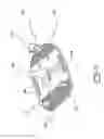 Fig. 07 - Light-emitting beacon