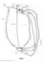 Fig. 06 - Chair with arcuate frame members