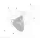 Fig. 07 - Grid flap