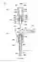 Fig. 40 - Fluid dispenser and fluid refill system for fluid dispenser