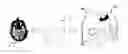 Fig. 01 - Medical Imaging Stabilization and Coregistration