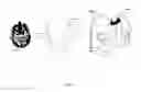 Fig. 03 - Medical Imaging Stabilization and Coregistration