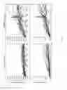 Fig. 09 - Medical Imaging Stabilization and Coregistration