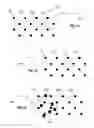 Fig. 02 - Systems and methods for creating hair transplantation procedure sites
