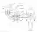 Fig. 01 - METHOD AND APPARATUS FOR PERITONEAL OXYGENATION