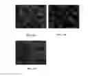 Fig. 10 - AMPHIPHILIC POLYMERS ENCAPSULATING THERAPEUTICALLY ACTIVE AGENTS