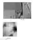 Fig. 11 - AMPHIPHILIC POLYMERS ENCAPSULATING THERAPEUTICALLY ACTIVE AGENTS
