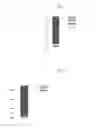 Fig. 03 - Composition of chlorogenic acid and methods of making and using the same in treating serum lipid levels