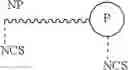Fig. 12 - Method for treating infectious diseases with isothiocyanate functional compounds