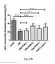 Fig. 07 - METHOD FOR PREVENTING OR TREATING HEART FAILURE