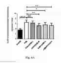 Fig. 08 - METHOD FOR PREVENTING OR TREATING HEART FAILURE