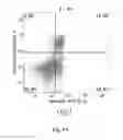 Fig. 12 - METHOD FOR PREVENTING OR TREATING HEART FAILURE
