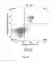 Fig. 16 - METHOD FOR PREVENTING OR TREATING HEART FAILURE