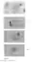 Fig. 10 - COMPOSITIONS AND METHODS FOR PREVENTING AND TREATING MUCOSITIS AND WEIGHT LOSS